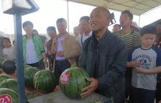 武都网红吃瓜群众事件,一场网络舆论的风暴与反思