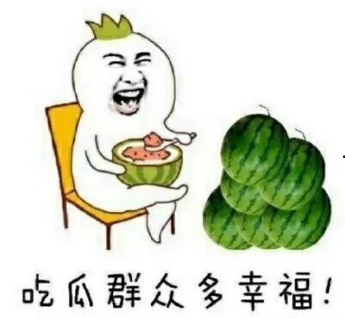 专业娱乐吃瓜